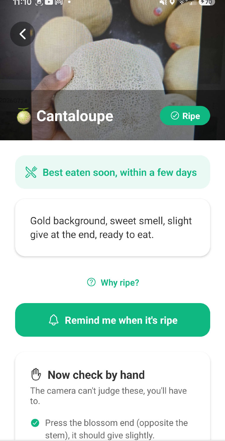RIPE cantaloupe result: ripe, best eaten within a few days, and a Now check by hand section listing what the camera cannot judge.