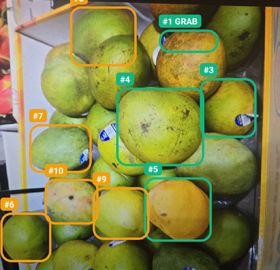 A real RIPE scan of a crate of mangoes: nine numbered rings drawn on individual fruit, with GRAB marking the top pick.